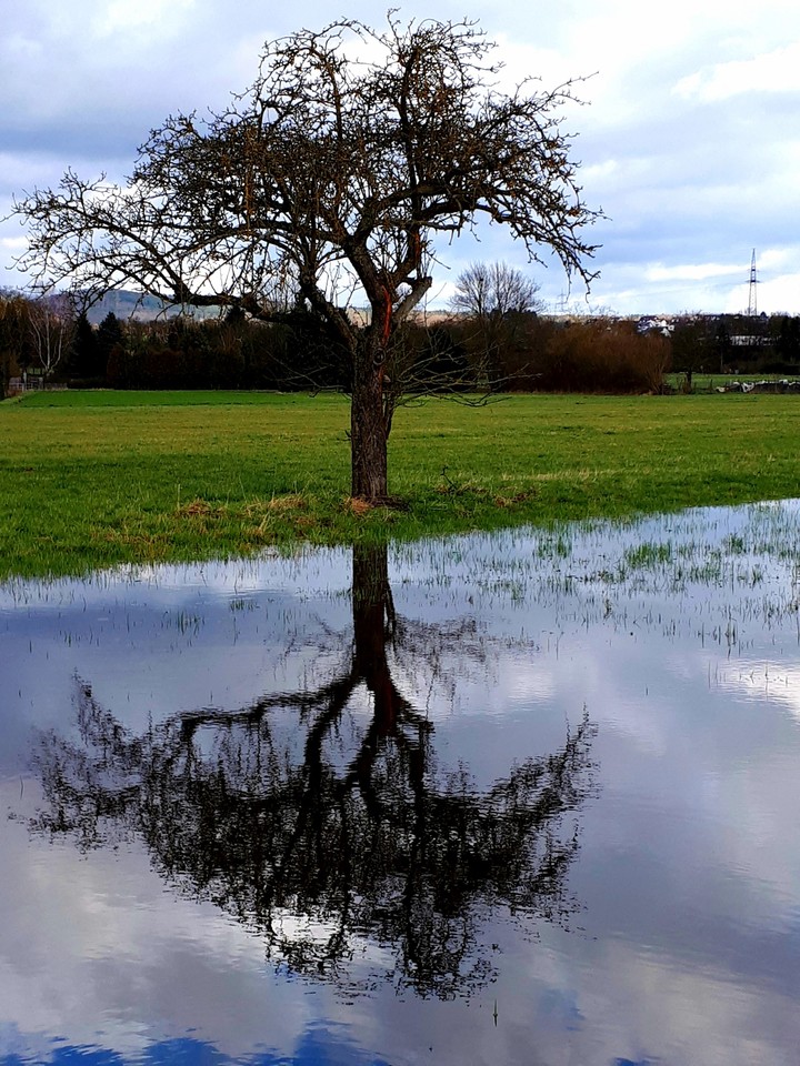 beautiful mirror image