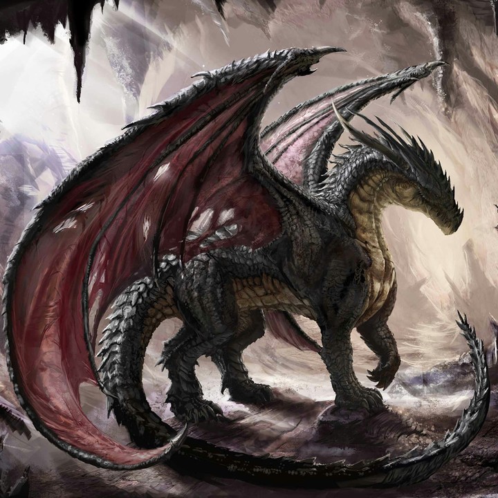 dragón