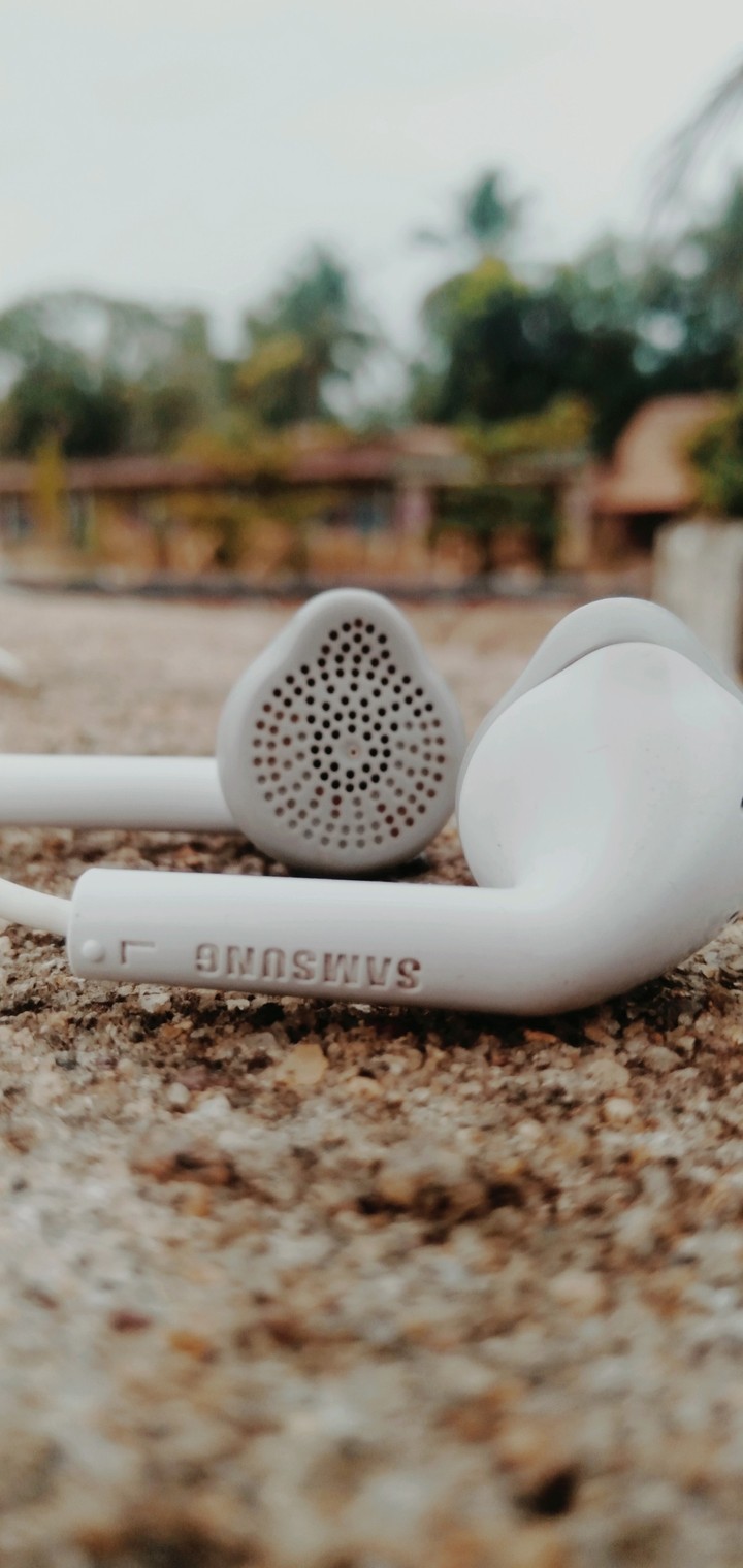 Earphone