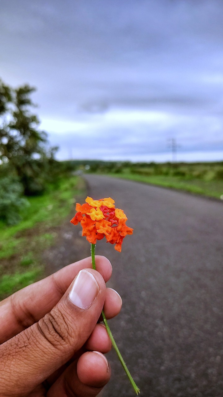 Monsoon