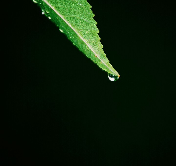 goutte d'eau