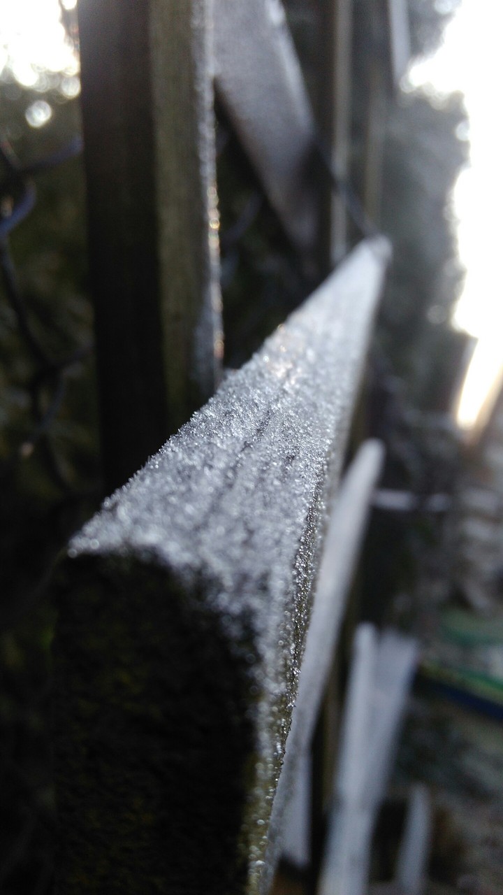 cold morning- lumber