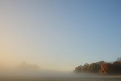 Morning In Richmond