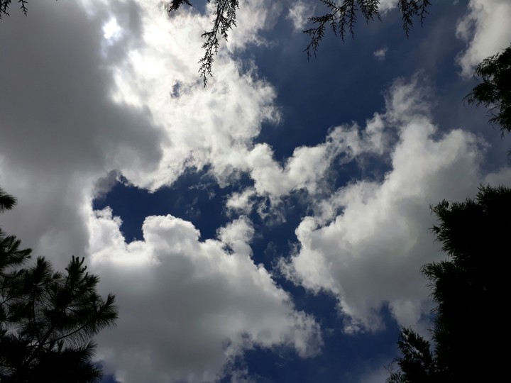 Looking Up