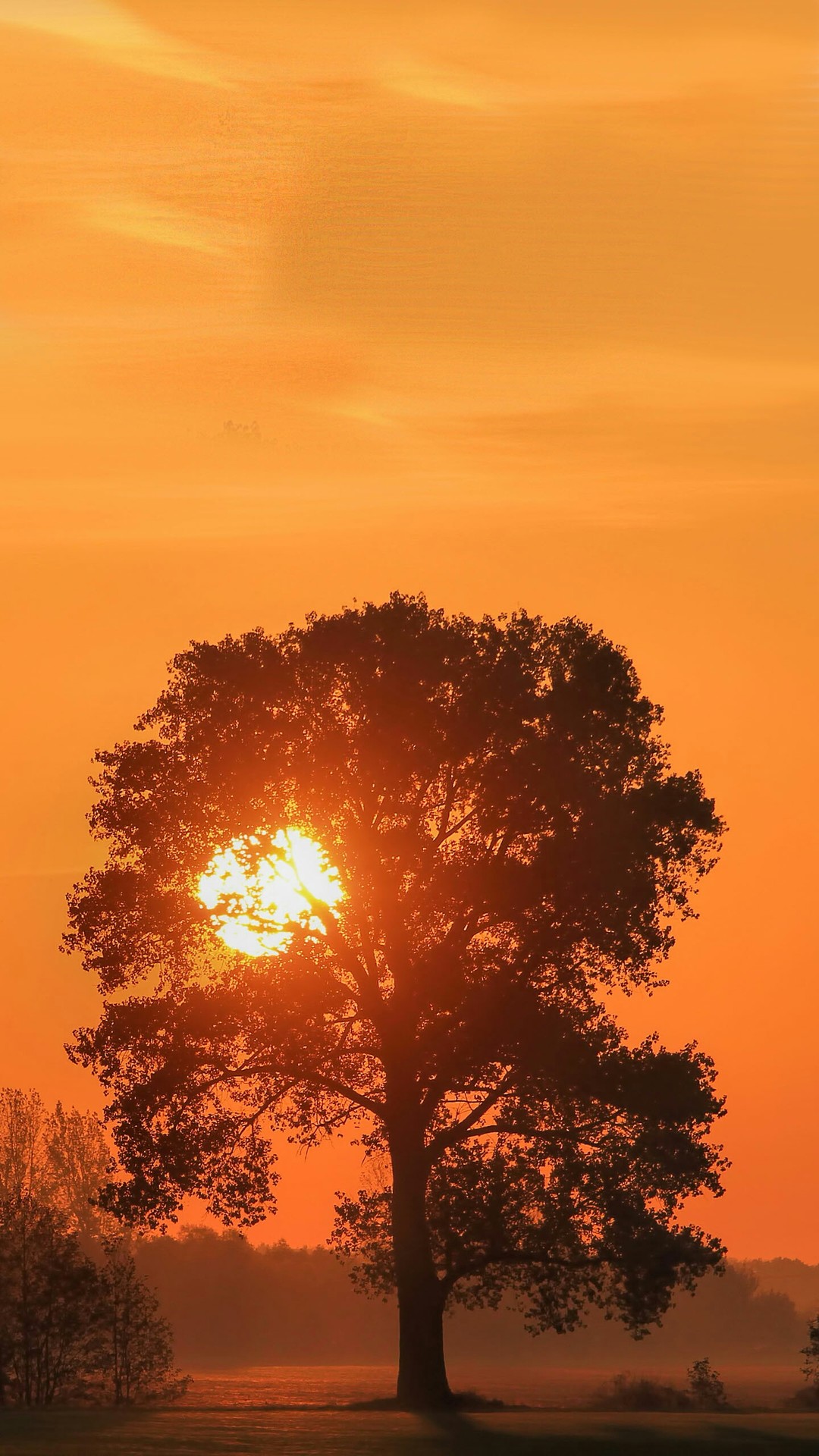 Sunset...
