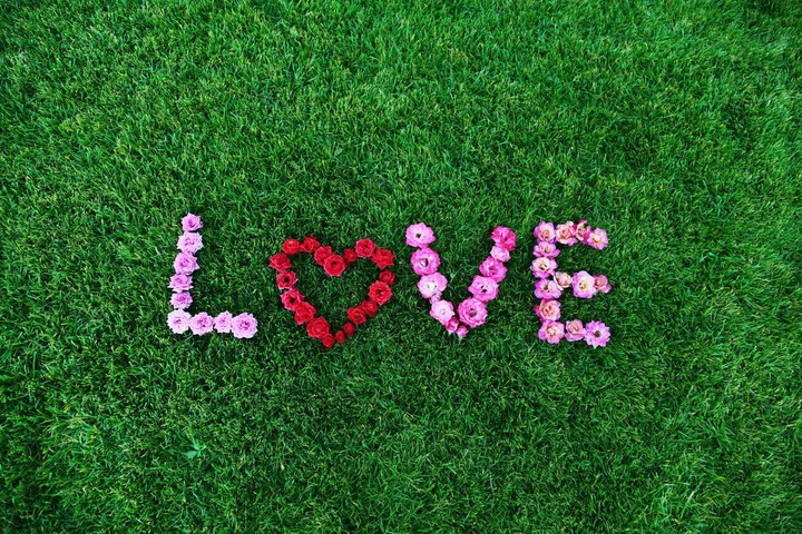 love