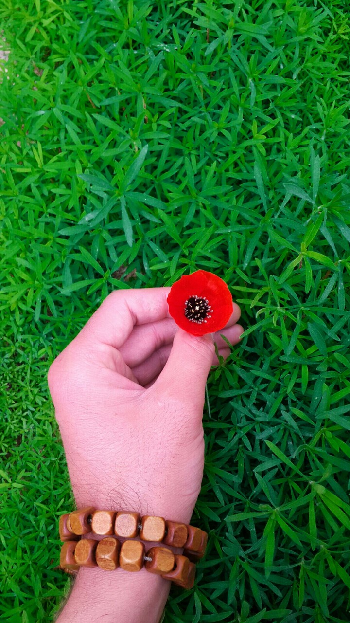 G O L