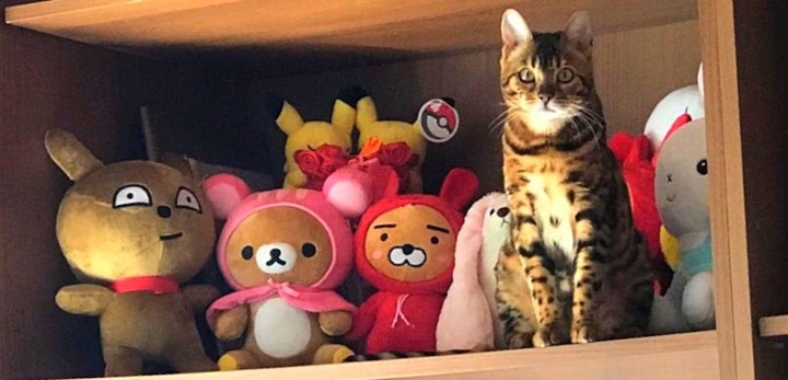인형처럼. ㅋ