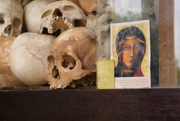Human Skeleton