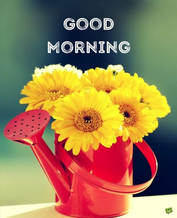 good morning