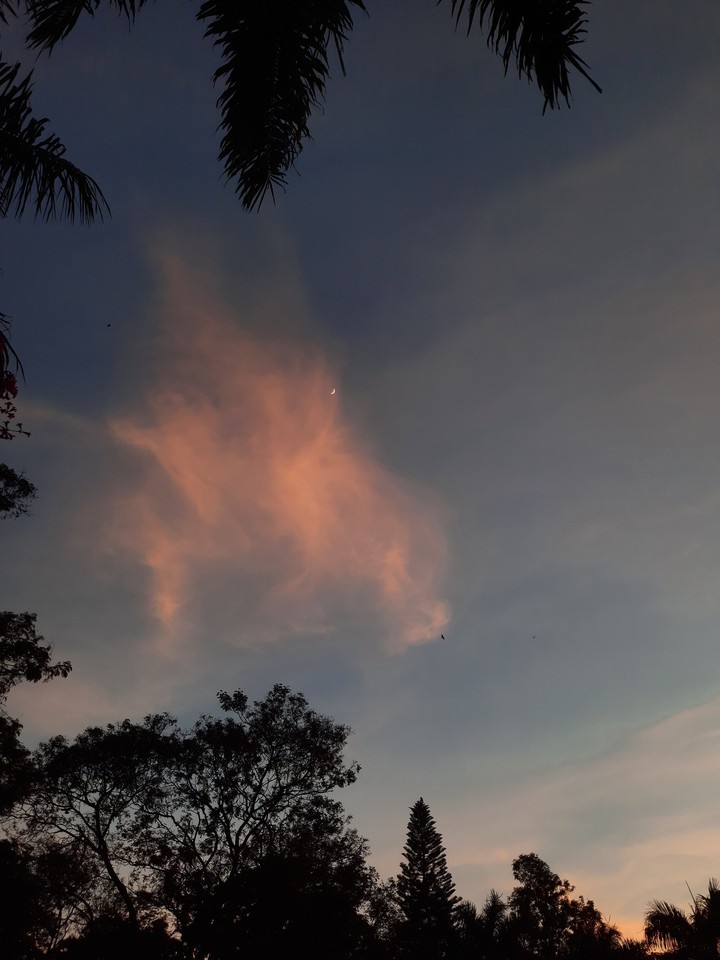 Beautiful sky