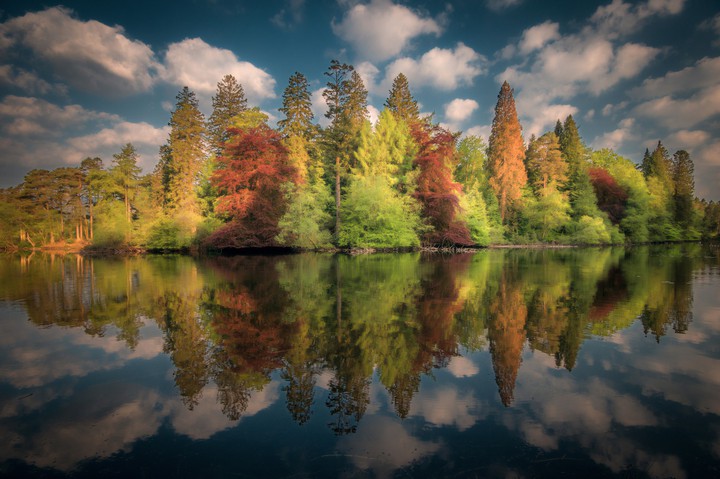 Thé autumn.