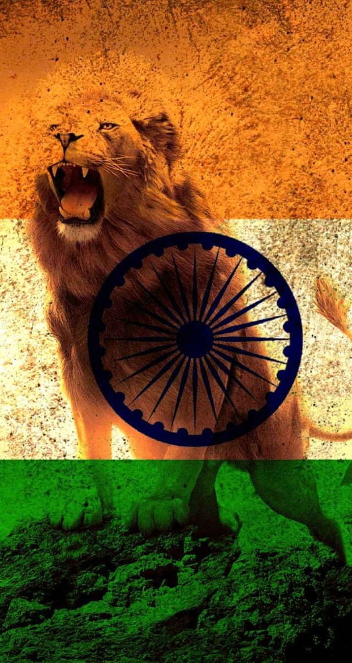 The India