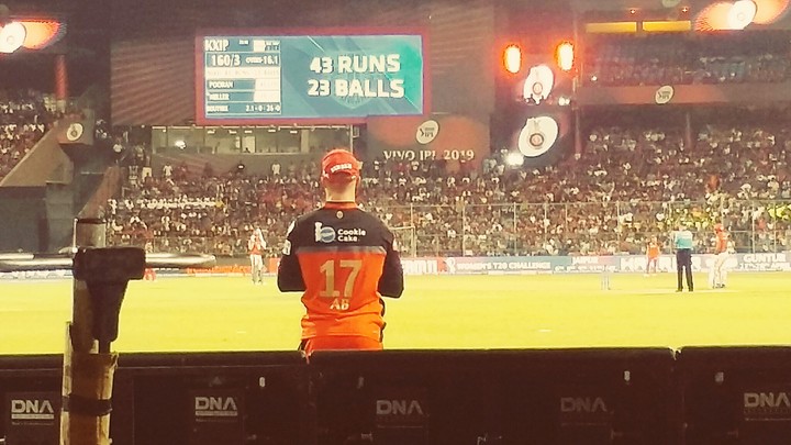 cricket