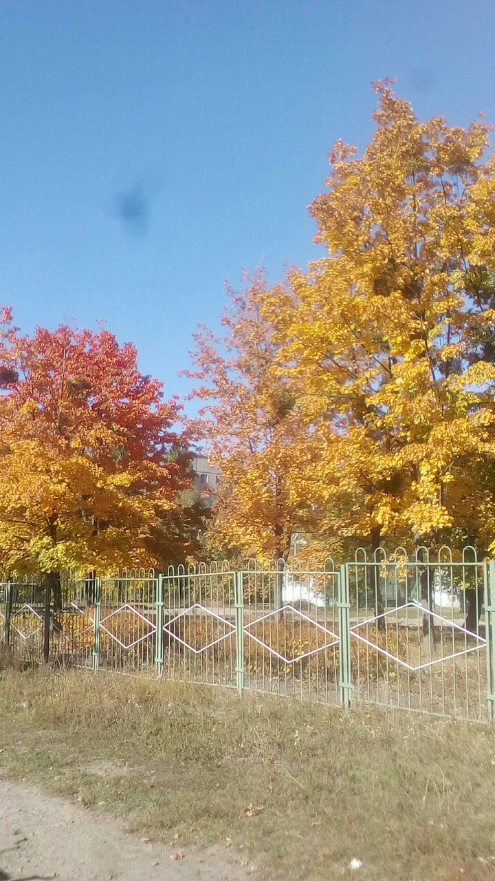 Осень