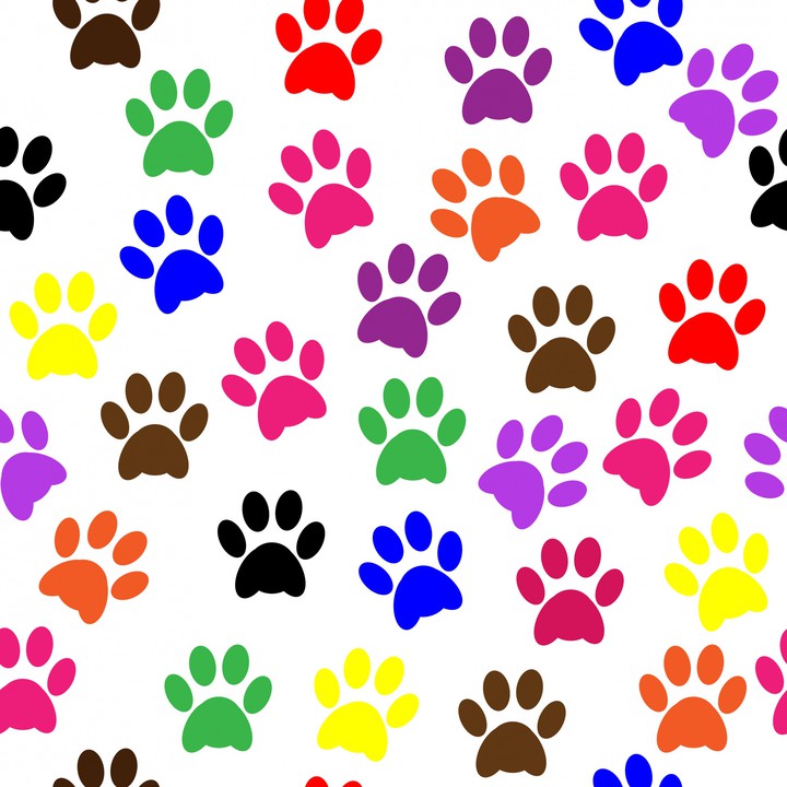 cartoon puppy footprint