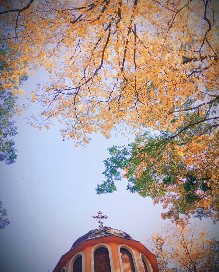 Осень...