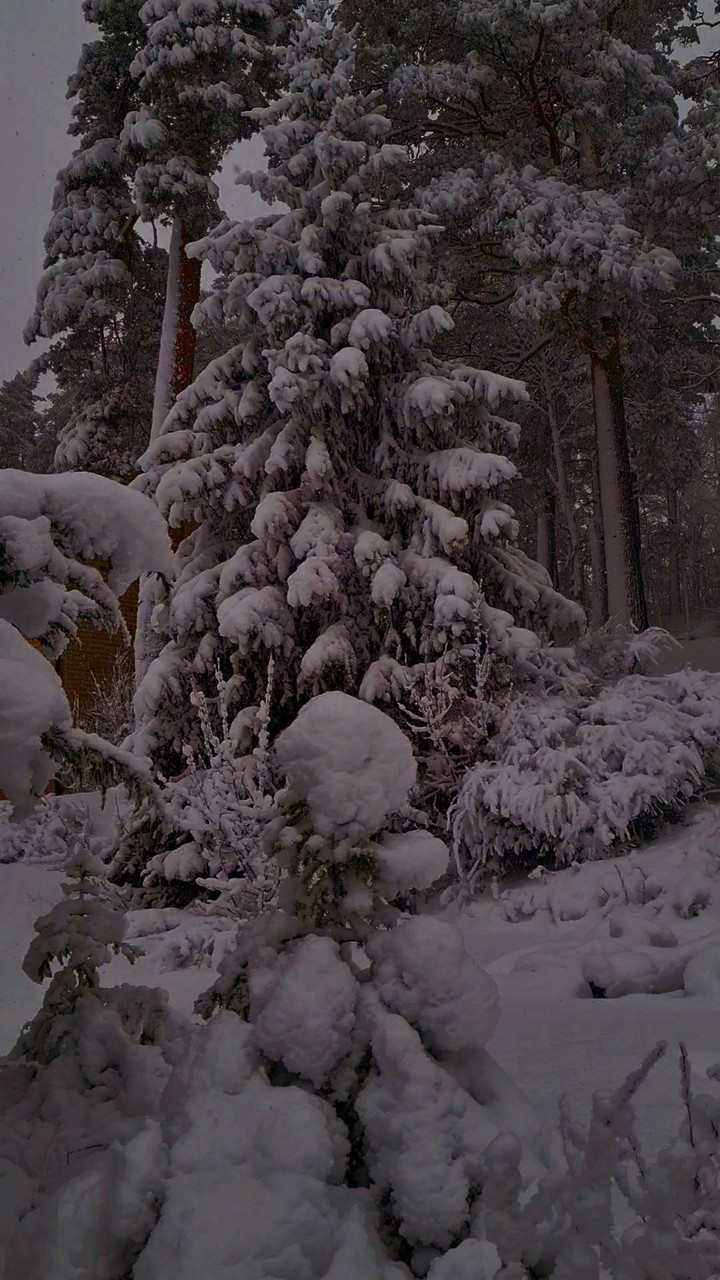 Snow