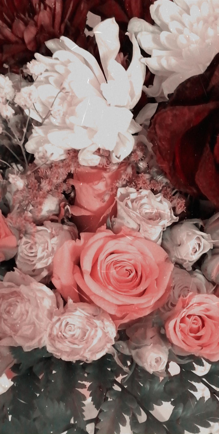 Roses for you!