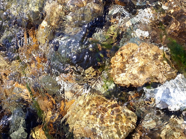 Water in the wild