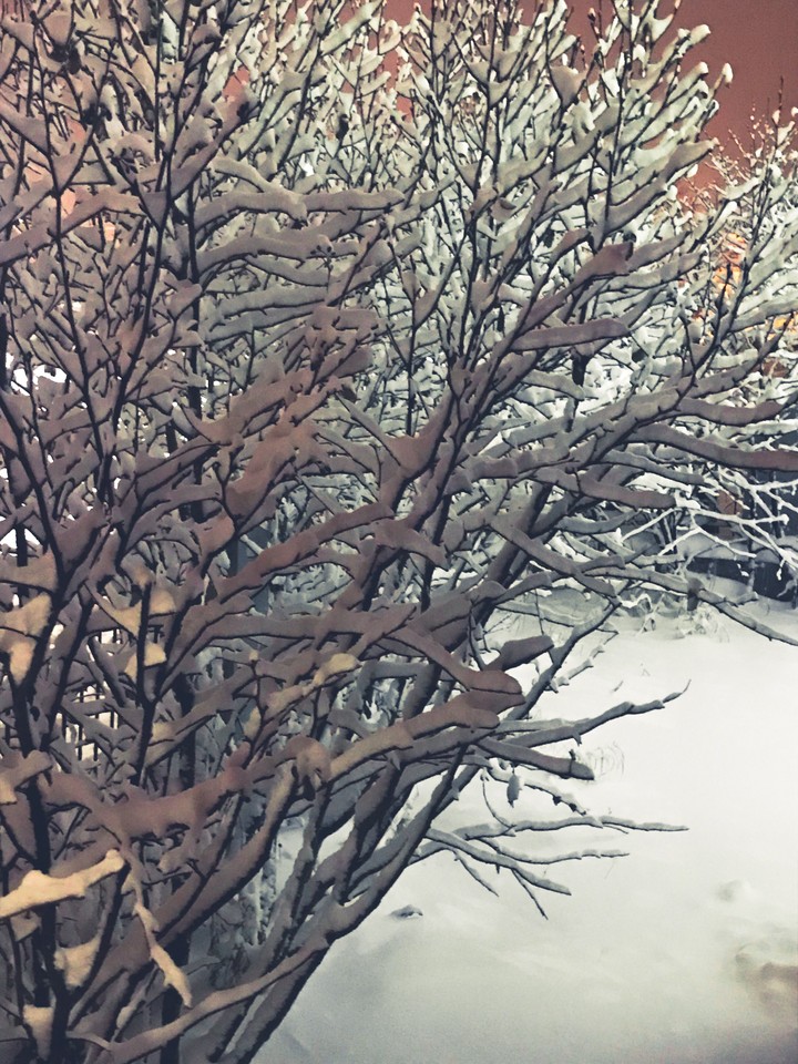 ❄️☃️