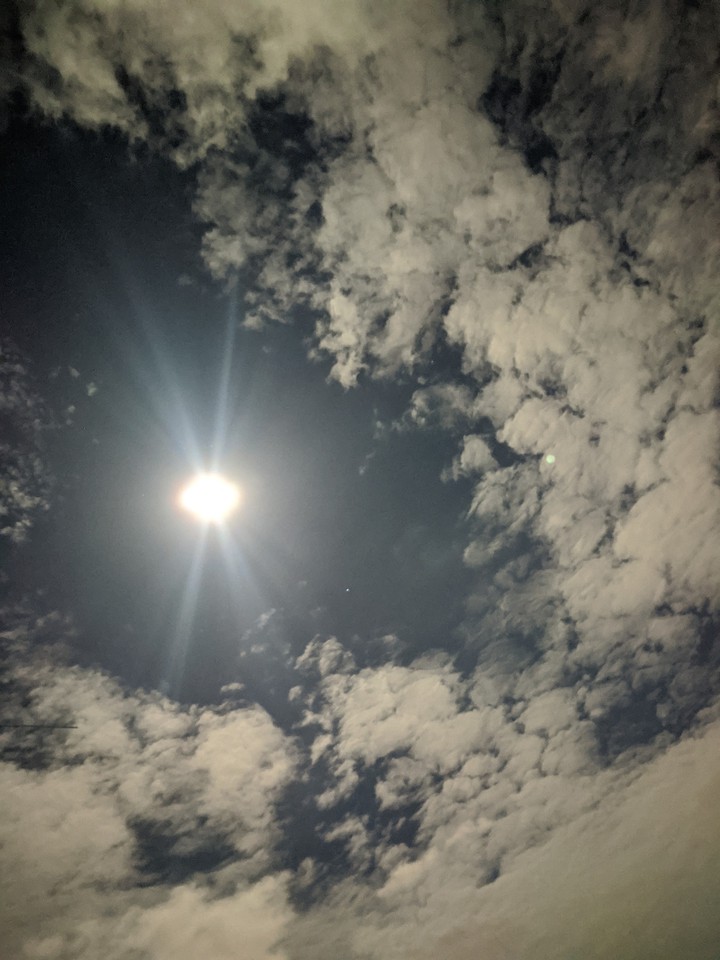 Moon night