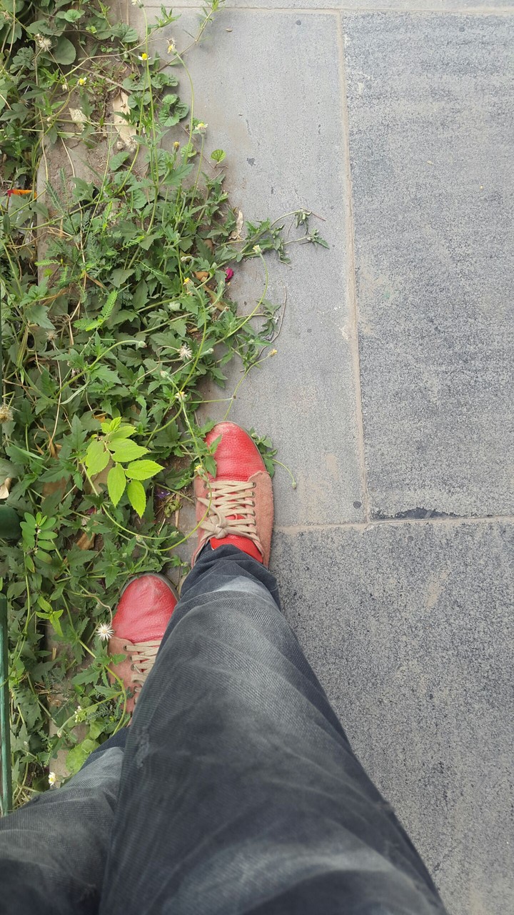 my red JUTE
