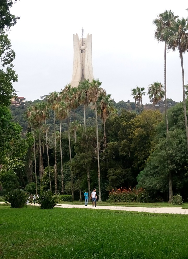 In Algeria