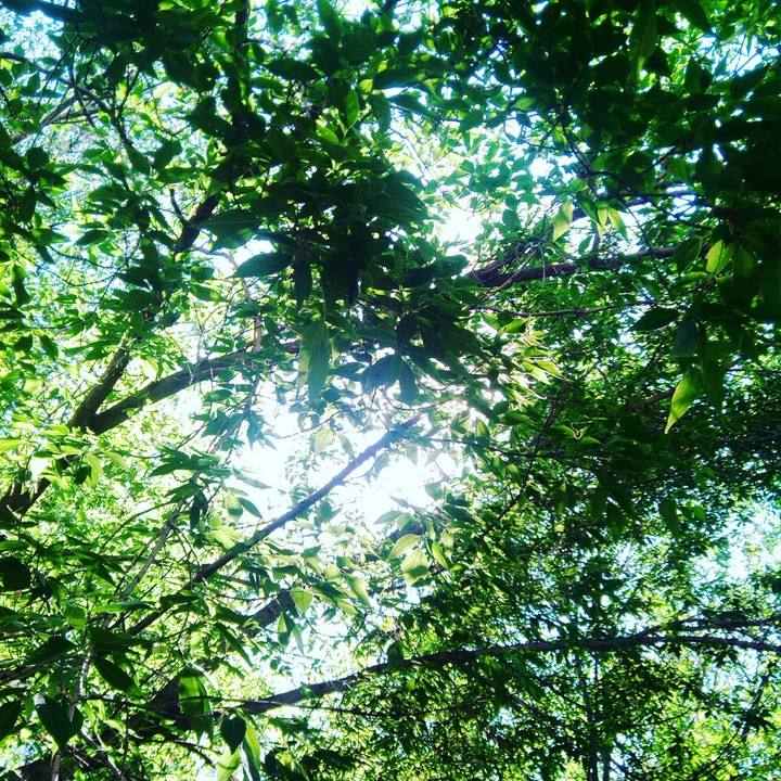 summerday