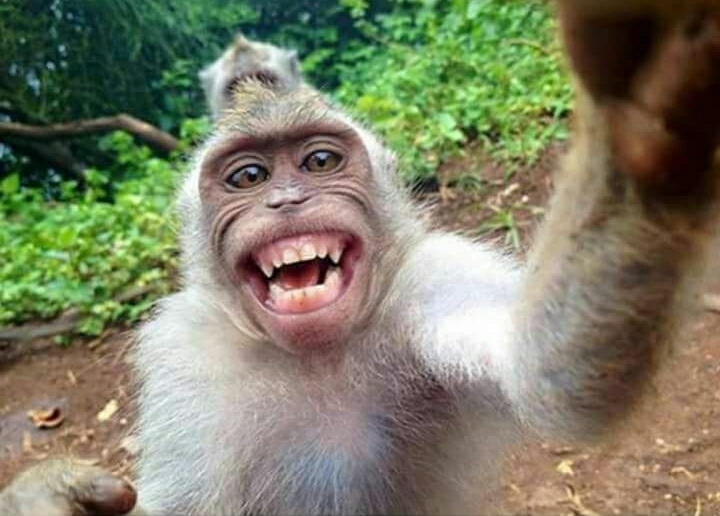 selfie of the day