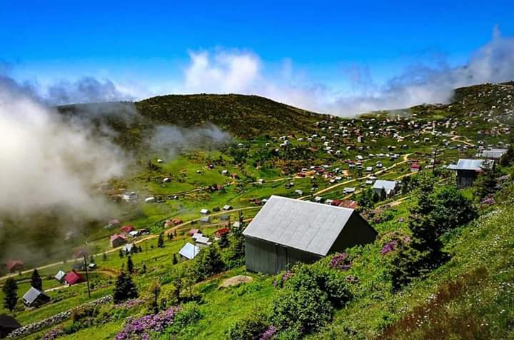 Turkey / giresun