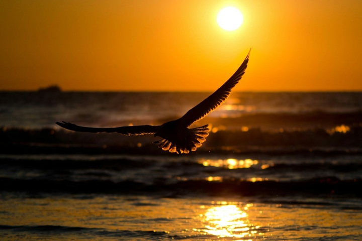 Evening