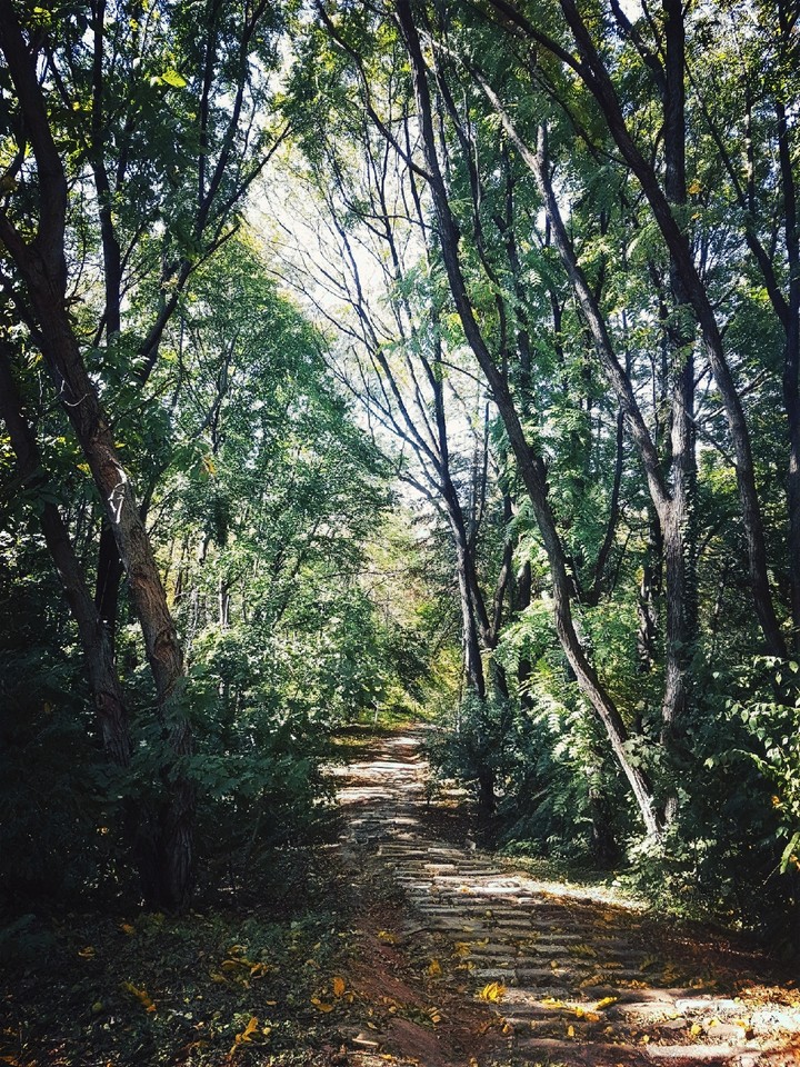 Wander