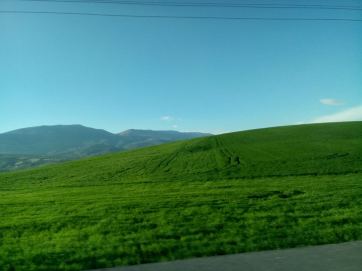 nature