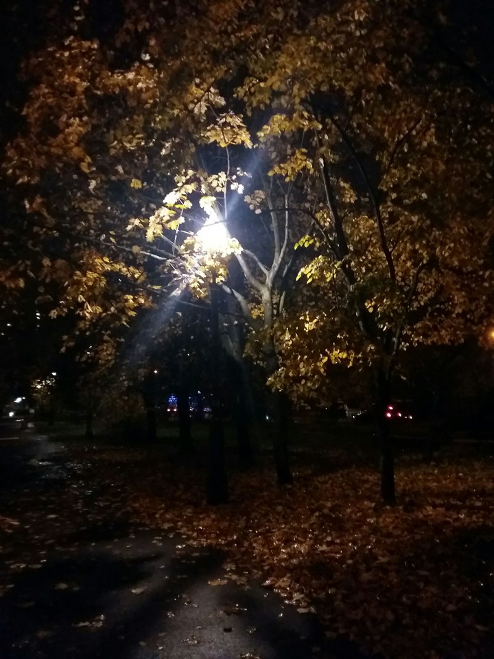 night