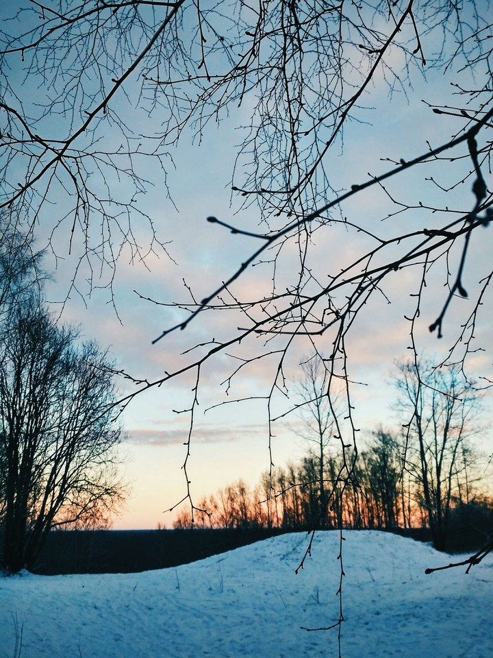 winter