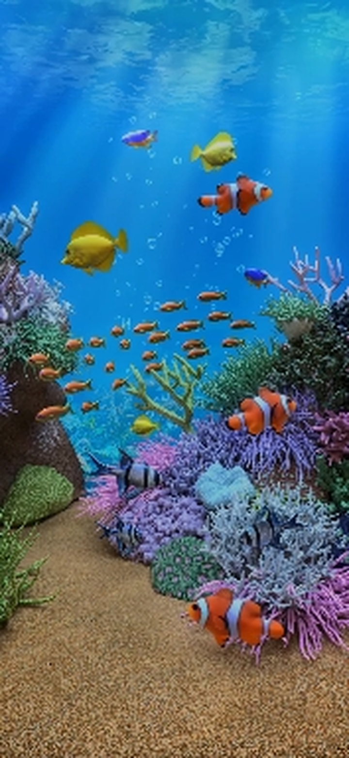 Aquarium