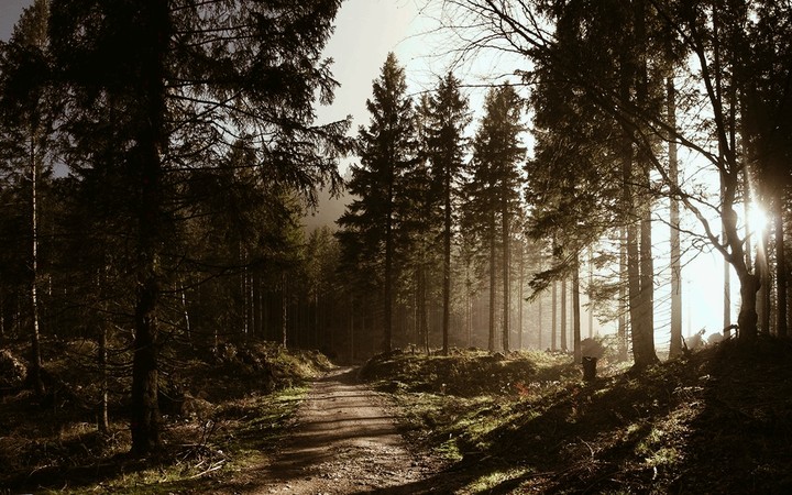 My Favourite Place To Stay Alone