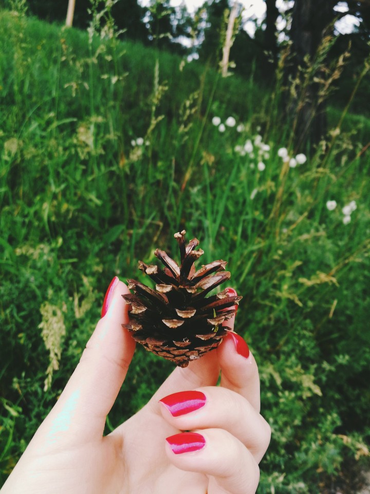 cone