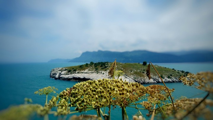 Amasra