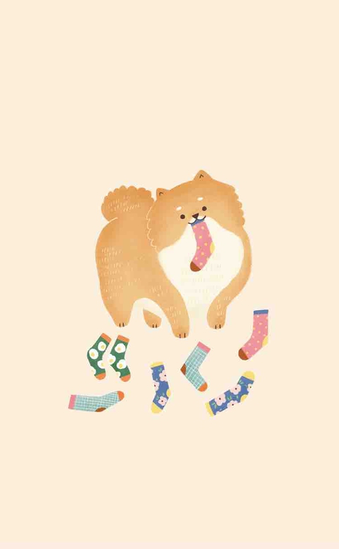 안눙! 나 시바
