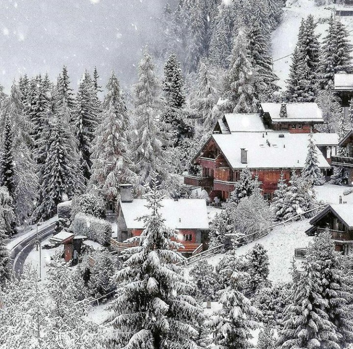 winter