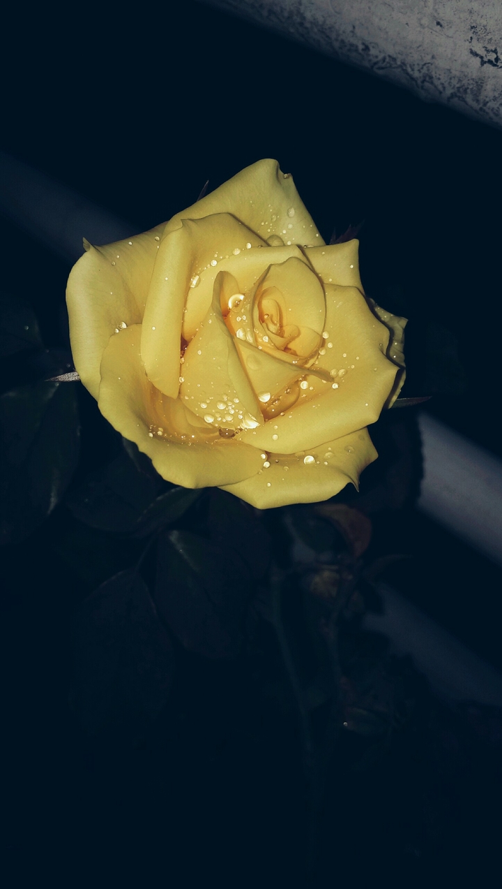#yellow!!!!