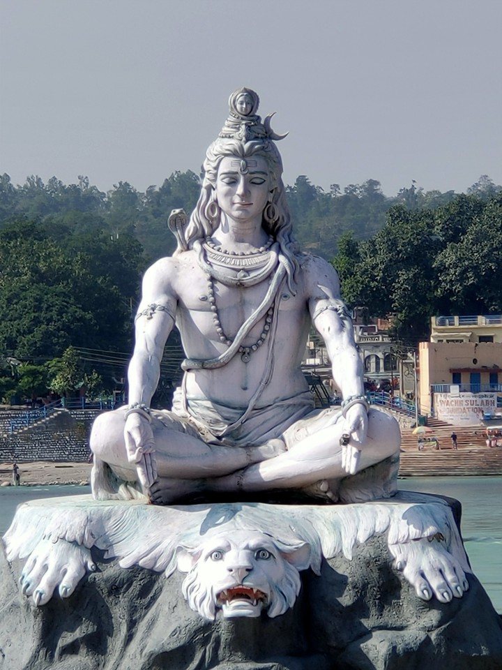 shiv