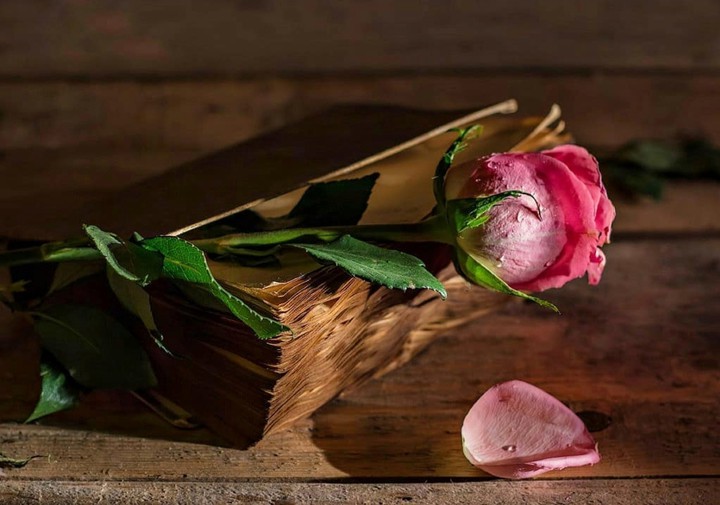 Stilllife