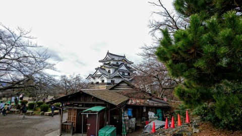 hikone castle