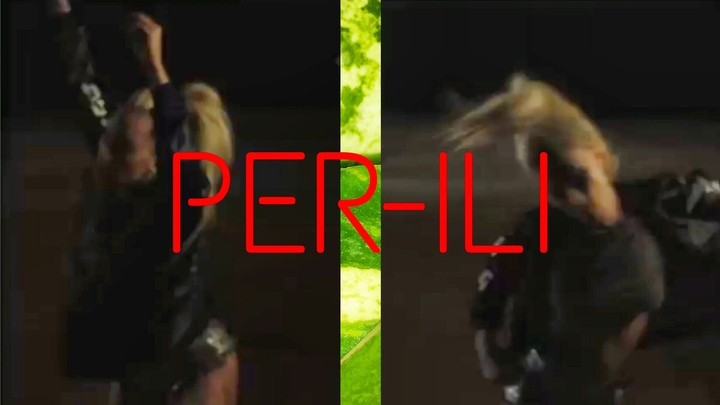 LADY GAGA / PERFECT ILIUZION