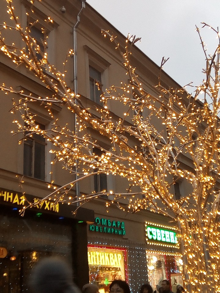 Ветка