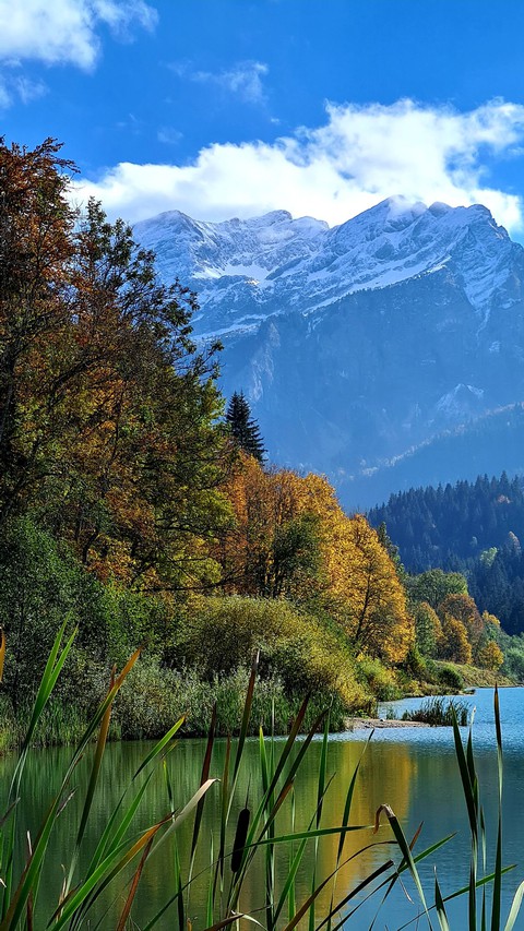 Autumn landscape