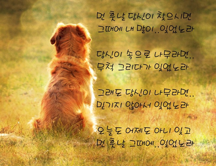 잊었노라...